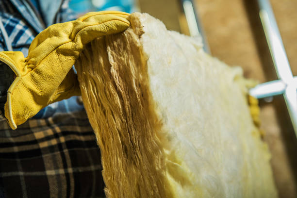 Best Insulation Maintenance and Repair in Galena, KS