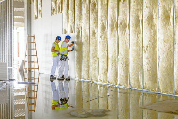 Best Commercial Insulation in Galena, KS